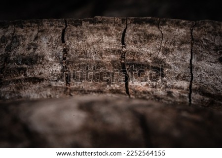 Rough stone texture close up. Macro photography. 