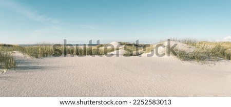 Dune landscape at the North Sea Royalty-Free Stock Photo #2252583013