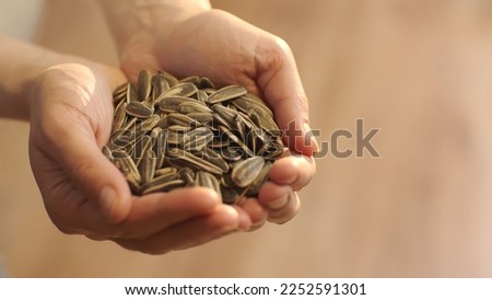 Close-up view of roasted sunflower seeds. Woman holding a pile of sunflower seeds. Royalty-Free Stock Photo #2252591301