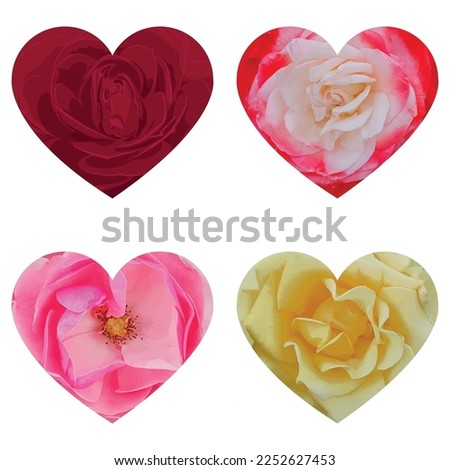 Set of Valentine's Day Hearts from roses isolated on white background. Symbol of love
Flowers heart shape.
Minimal idea concept.
