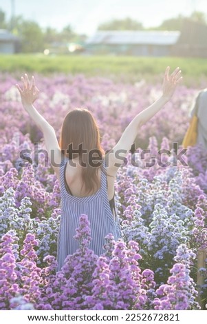 Asian women traveling and having fun in a flower field that has been planted for tourists to visit and take photos in the flower garden in winter in Chiang Mai where the flowers are in full bloom.