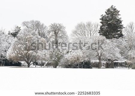 Snow covered trees in a park in London during the winter month. Royalty-Free Stock Photo #2252683335