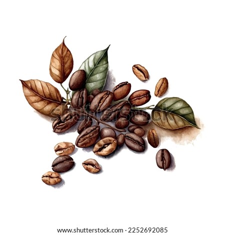 Watercolor hand drawn coffee beans. Isolated natural food illustration on white background Royalty-Free Stock Photo #2252692085