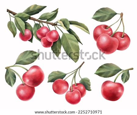 Red cherry clipart set. Hand drawn watercolor illustration