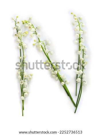 Letter N of white flowers Lily of the valley ( Convallaria ) on a white background. Top view, flat lay