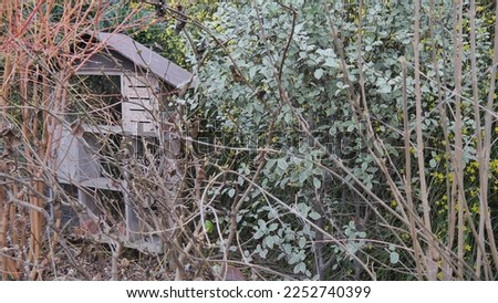 Hut or house made of wood, decoration, for harvesting honey by bees, half hidden by bushes or trees with different colored foliage. 
Ecological construction and all in wood, for decoration of a public