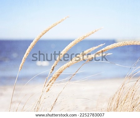 Beach grass gently blown by an ocean breeze.  In calming coastal blue and beige tones.  The perfect addition to a beach house's decor.