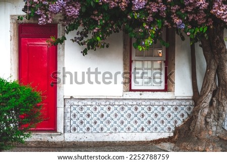 A capture of a house facade with painted tin-glazed ceramic tiles with flowers, a vertical window with a red window border, and a wooden red of a residential building in Lisbon and a blossom tree