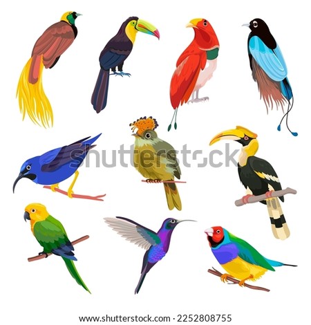 Exotic and tropical avian animals sitting on branches. Isolated parrots and Colibri species, fauna of jungles and forests by seaside. Colorful birds with plumage and beaks. Vector in flat style Royalty-Free Stock Photo #2252808755