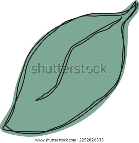 Green lemon leaves. Leaf, clipping path, isolated on white background. Yellow. Citrus. Minimalist doodle style. Black line. Vector illustration.