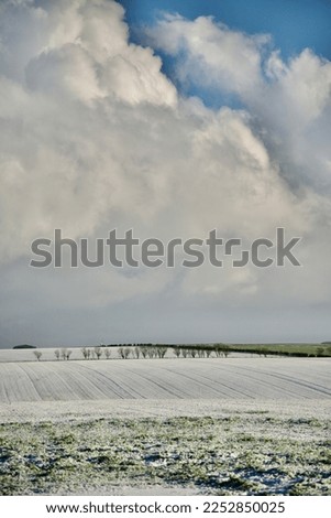 Winter landscape. High key photography of snow covered agricultural field with hedge and cloud cover at Burton Fleming, Yorkshire Wolds.