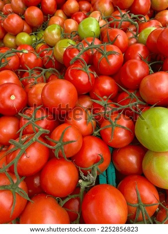 Fresh tomatoes for sale at a vegetable market