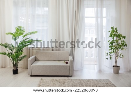 palm plant and sofa in the interior of the white room decor