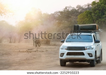 On selfdrive safari in Zimbabwe: white safari car with tent on the roof, driving along the banks of the Zambezi River, people observing African nature in the Mana Pools park. Royalty-Free Stock Photo #2252910223