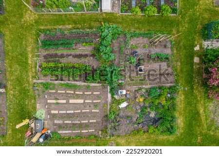 Raised garden beds with kale salad plants, vegetables lettuce and corn in community garden with citizen’s houses nearby. Cultivation of self sustainable small city farm with salad and herbs. Royalty-Free Stock Photo #2252920201