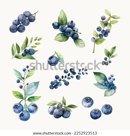 Set of Vector Blueberry Watercolor Draw Royalty-Free Stock Photo #2252923513