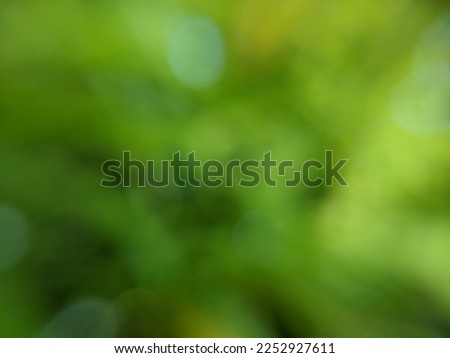 blurry photo of green leaves.