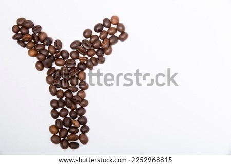 Y is a capital letter of the English alphabet made up of natural roasted coffee beans that lie on a white background. Plenty of space to put text or pictures, top view and studio photography.