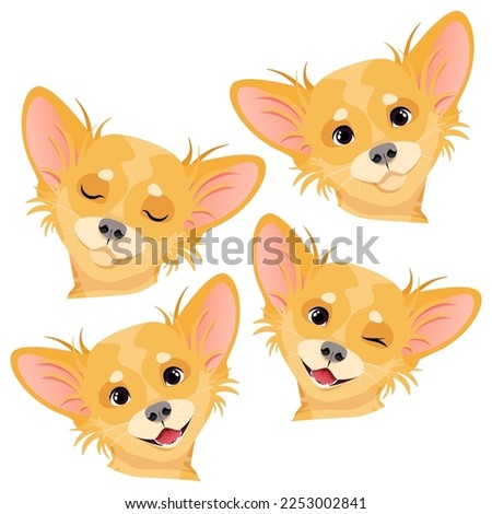 Four different heads of a brown chihuahua dog