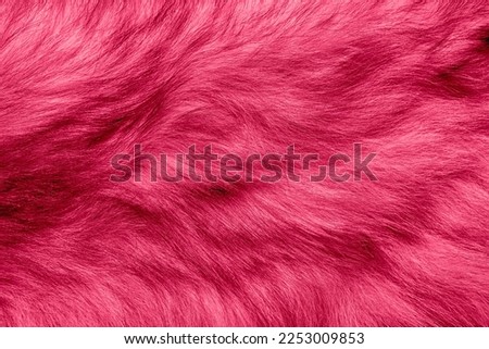 Colorful magenta background fur texture. viva magenta color of the year 2023.