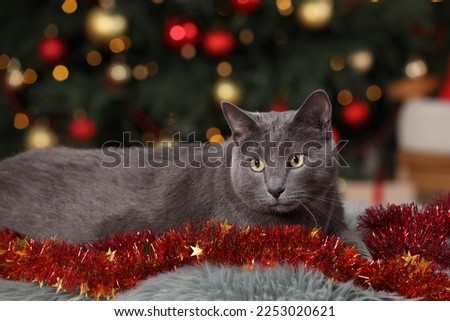 Cute cat with colorful tinsel near Christmas tree indoors