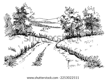 Rural scenery. Meadow, alkali, lye, grassland, pommel, lea, pasturage, farm. Rural scenery landscape panorama of countryside pastures. Vector sketch illustration
 Royalty-Free Stock Photo #2253022511