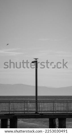 A picture of a seagull on a pole above the bridge in the middle of the sea