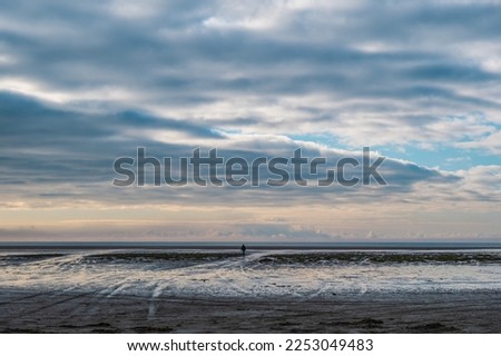 Beach on the wadden sea island Fanoe fanø , Denmark