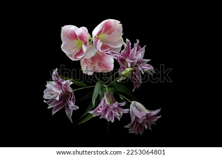 Splendid bouquet of pink lilies on black background