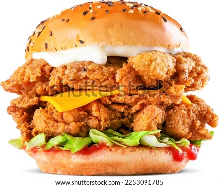 Double Decker Crispy Chicken or Doppler Burger. Double Decker Crispy Zinger Burger with cheese Royalty-Free Stock Photo #2253091785