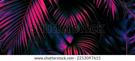 tropical palm leaf background, glow in the dark color toned.