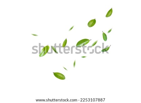Green Floating Leaves Flying Leaves Green Leaf Dancing, Air Purifier Atmosphere Simple Main Picture	 Royalty-Free Stock Photo #2253107887
