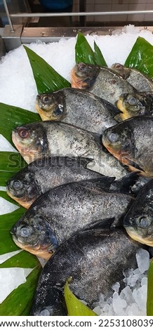 close up picture from fish section in traditional market