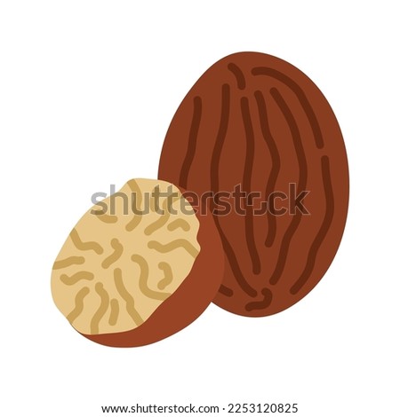 Nutmeg icon. Whole and half nutmeg isolated on white background. Vector illustration Royalty-Free Stock Photo #2253120825