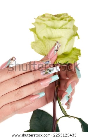 Hands with long artificial french manicured nails colored with white and turquoise blue nail polish and green rose flower. White background.