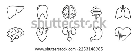 Human Internal Organ Anatomy Line Icon Set. Liver, Tooth, Brain, Stomach, Heart, Lung, Urinary System, Intestine Linear Pictogram. Healthcare Sign. Editable Stroke. Isolated Vector Illustration. Royalty-Free Stock Photo #2253148985