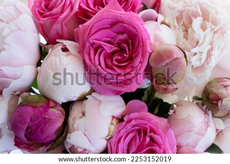 Fresh peonies and rose flowers, close up view, summer background