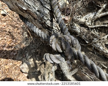 Rope knot on the Mt. Shakagatake mountain trail in the Misaka Mountains in winter Royalty-Free Stock Photo #2253185601