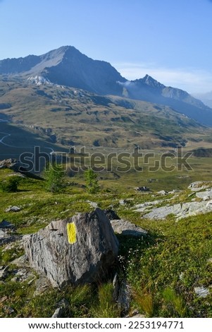 Summer landscape of Alps mountains in Italy with alpine lakes, cow and meadows