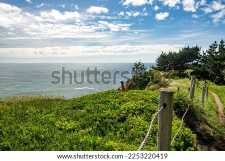 Green meadows and view of the Pacific Ocean at Point Bonita, California, USA