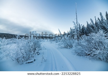 Ski trails for cross country skiing in wilderness area of northern Canada.