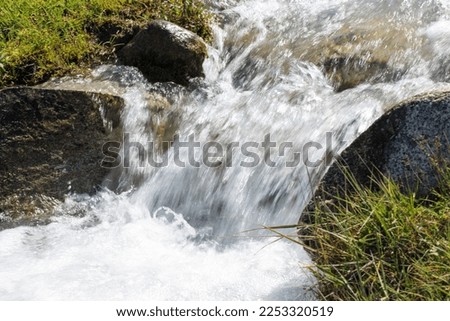 Stream with clear water. Mountain river among the stones. Summer landscape.