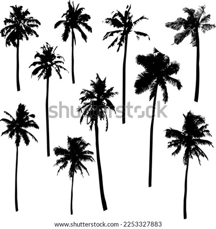 Vector  Collection realistic black silhouettes isolated tropical palm trees on a white background. Set of silhouette coconut trees, natural sign.