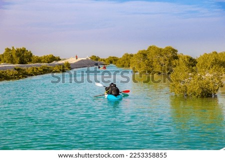 jubail mangrove park in abu dhabi in united arab emirates Royalty-Free Stock Photo #2253358855