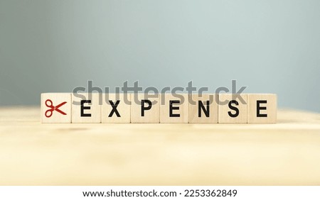Cutting expenses and costs concept. Reducing expenses to maintain financial stability, help businesses achieve financial goals and stay profitable. Scissors cutting word expense on wooden blocks.