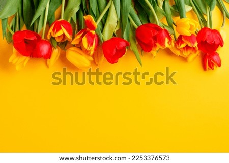 Yellow red tulips on yellow background. Seasonal Spring Holiday poster with free text space, greeting card, banner, flyer. Minimal concept of Hpayy Esater, Mother day, 8 march, Woman day, birthday