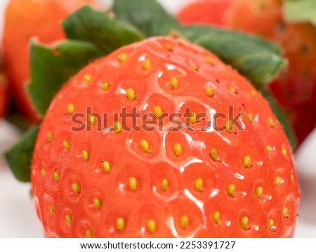 Ripe strawberries. Strawberries close up. Red strawberry. Macro photo of strawberries.