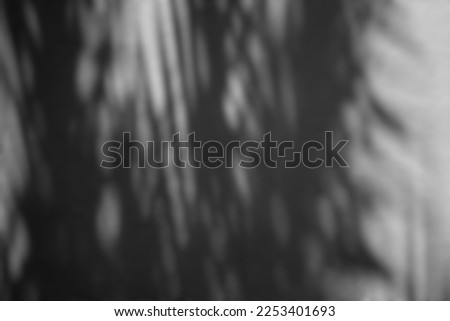 Blurred Light Beam and Shadow of Coconut Leave, Suitable for Overlay and Color Cast Effect.