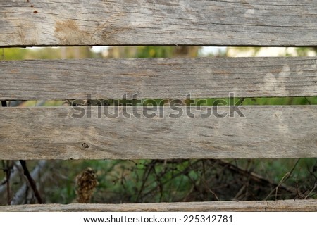 Front picture of a wooden fence with vegetation behind