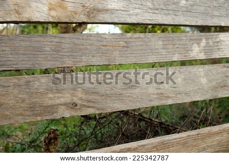 Diagonal picture of a wooden fence with vegetation behind